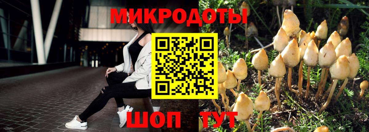 Псилоцибиновые грибы ЛСД Славгород